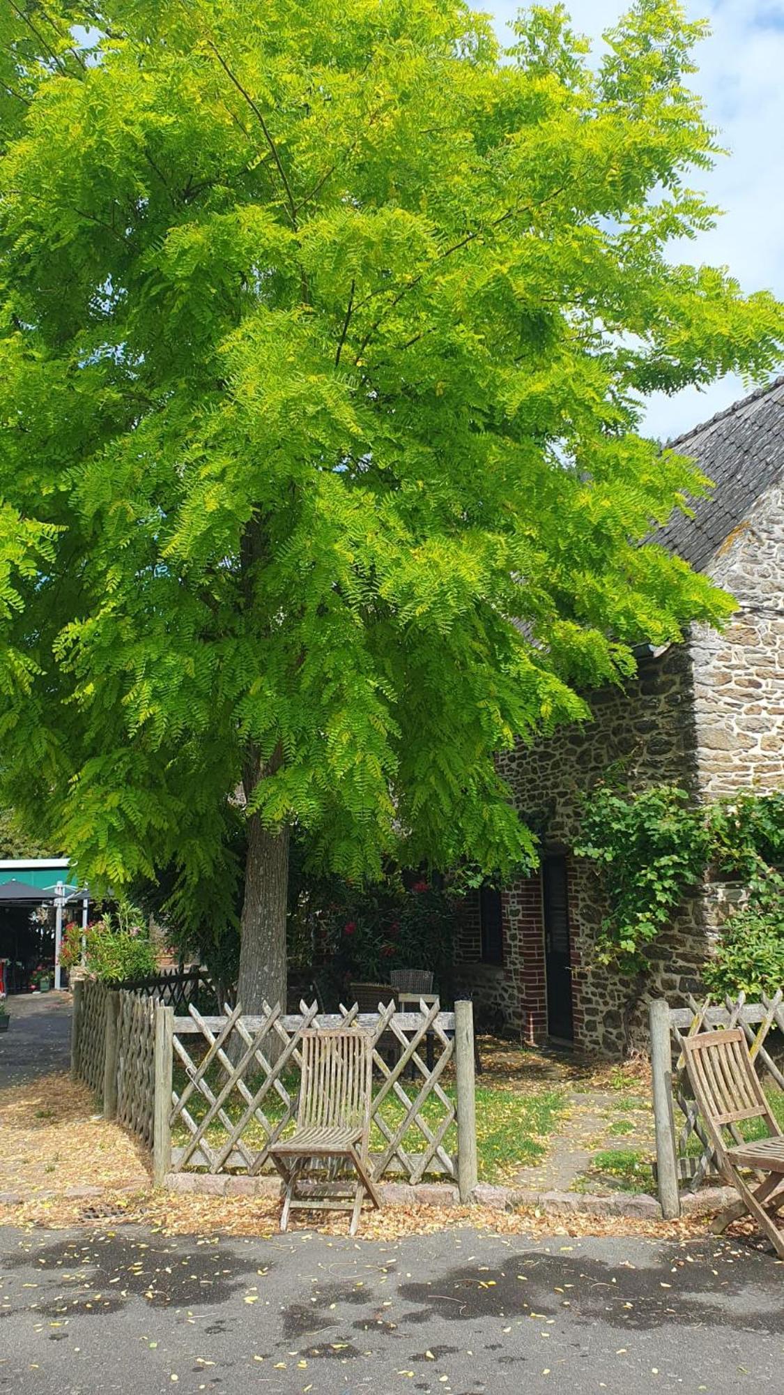 L'Auberge De La Porte Saint-Jouan-des-Guérets Extérieur photo