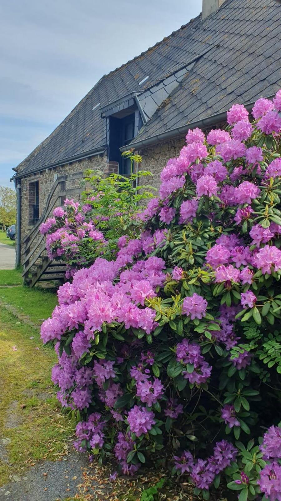 L'Auberge De La Porte Saint-Jouan-des-Guérets Extérieur photo